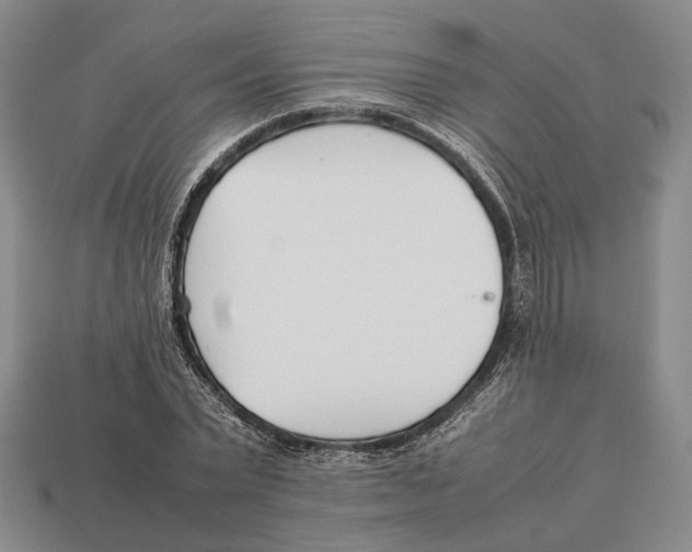 X0000113030783200909241413