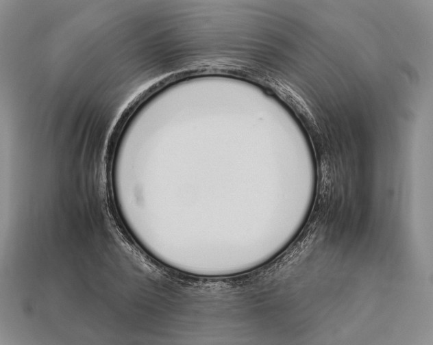 X0000113030784200909241413