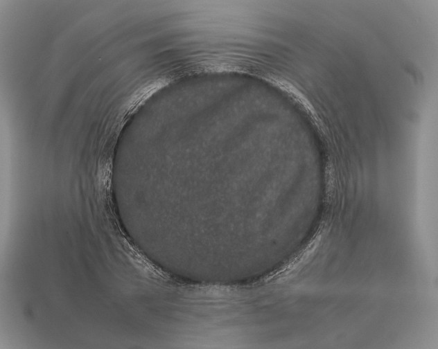 X0000113030785200909241413