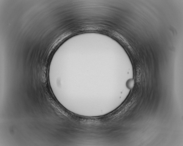 X0000113030786200909241413