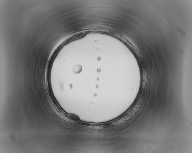 X0000113030788200909241413