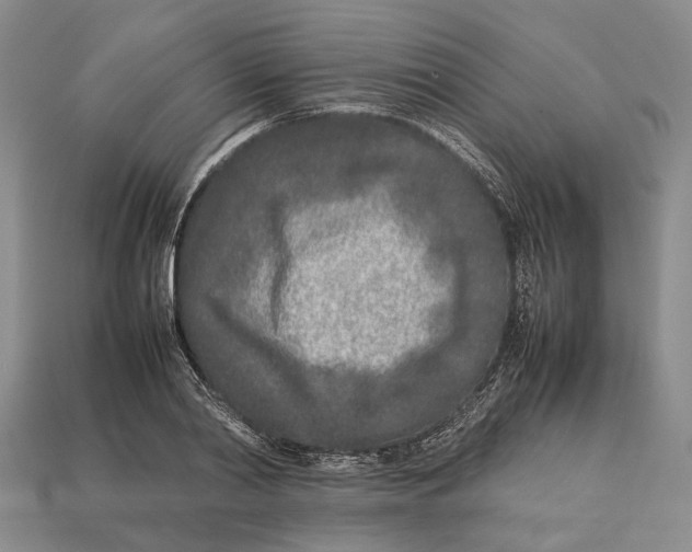 X0000113030790200909241413