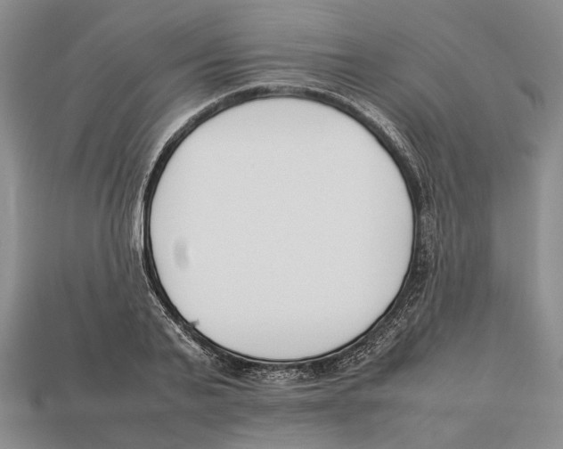 X0000113030791200909241413