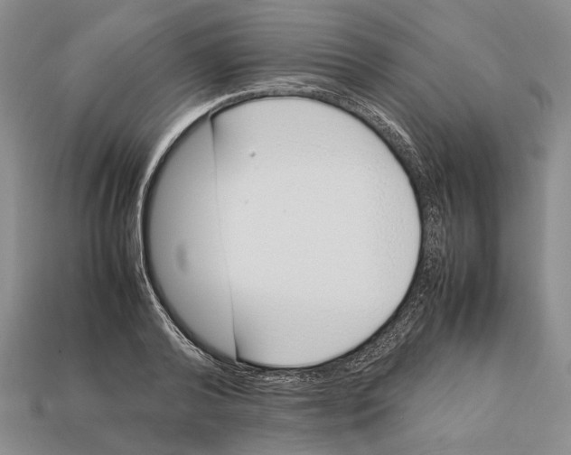 X0000113030792200909241413