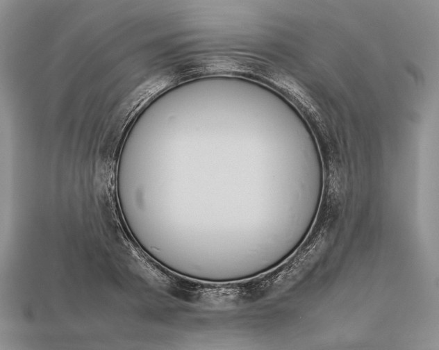 X0000113030793200909241413