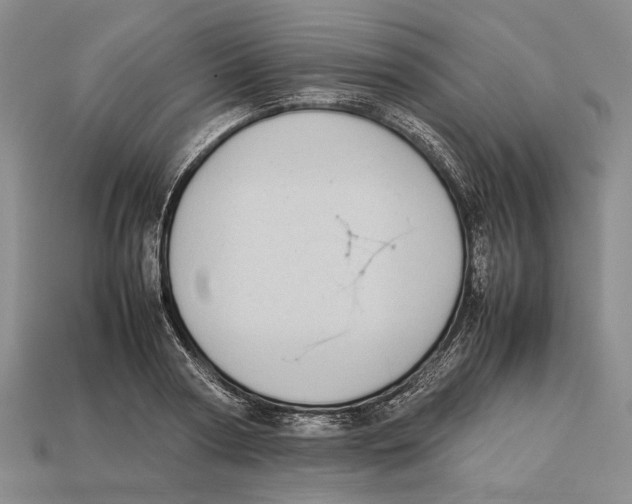 X0000113030794200909241413