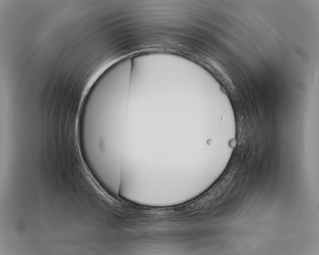 X0000113030796200909241413