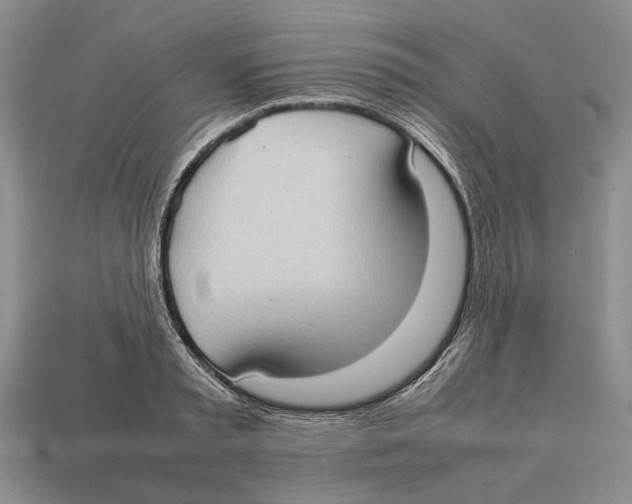 X0000113030797200909241413