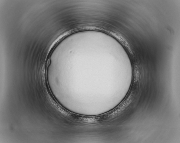 X0000113030798200909241413