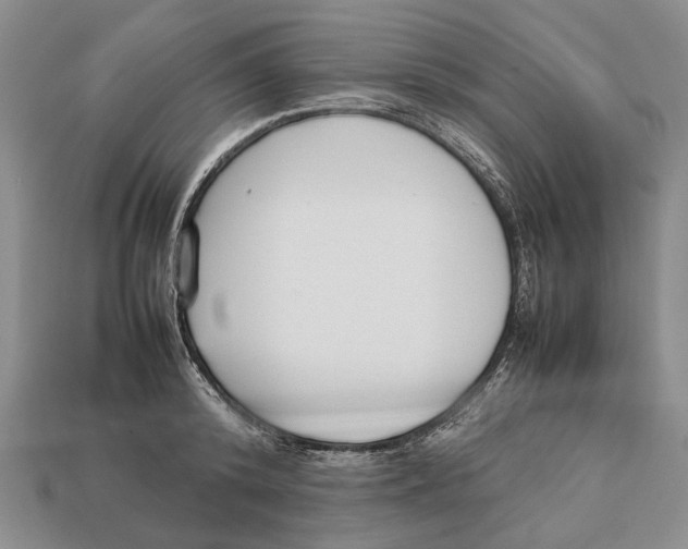 X0000113030800200909241413