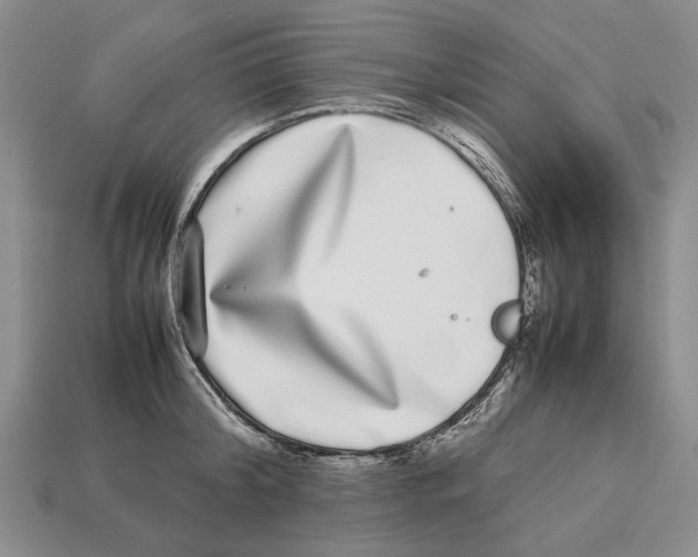 X0000113030804200909241413