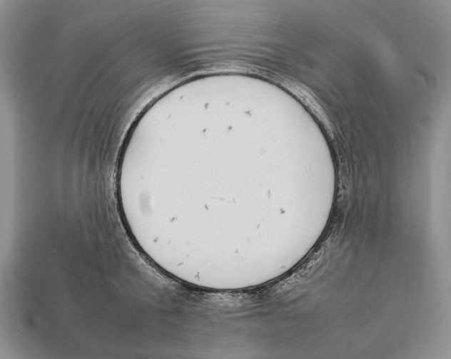 X0000113030805200909241413