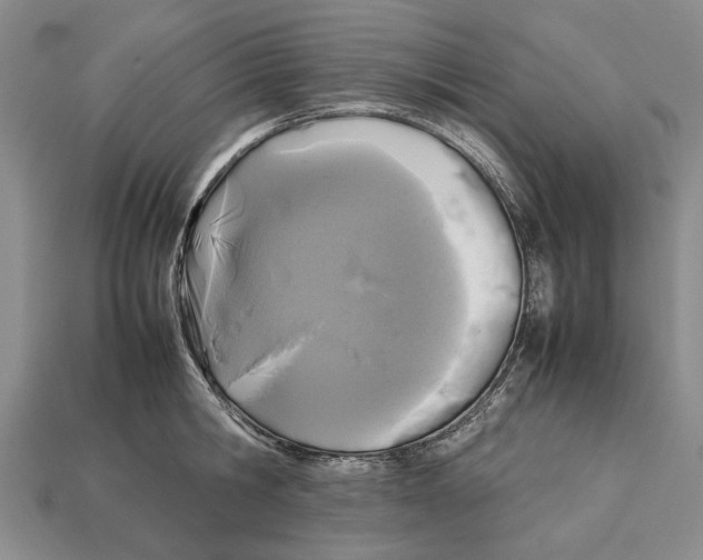 X0000113030806200909241413