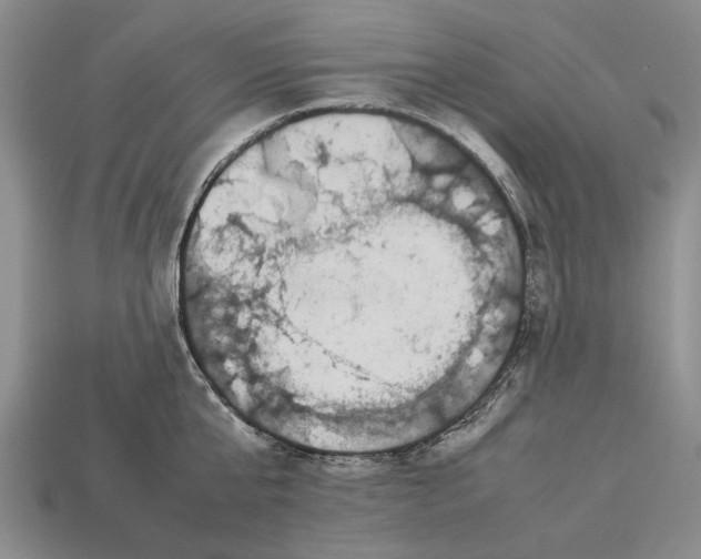 X0000113030807200909241412