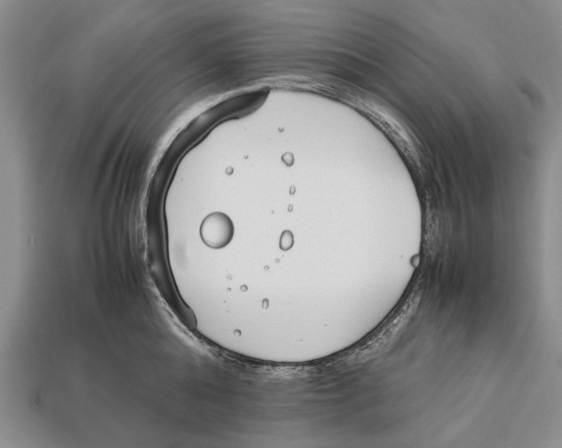 X0000113030808200909241412