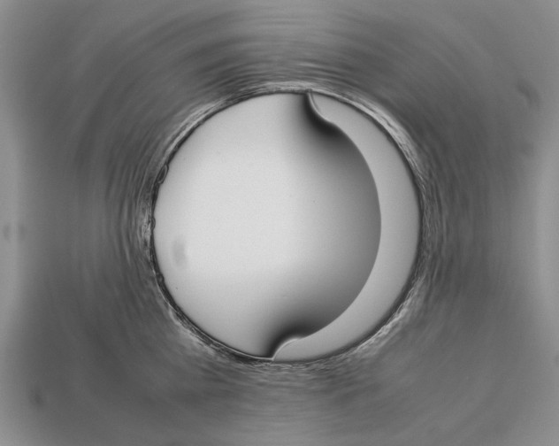 X0000113030809200909241412