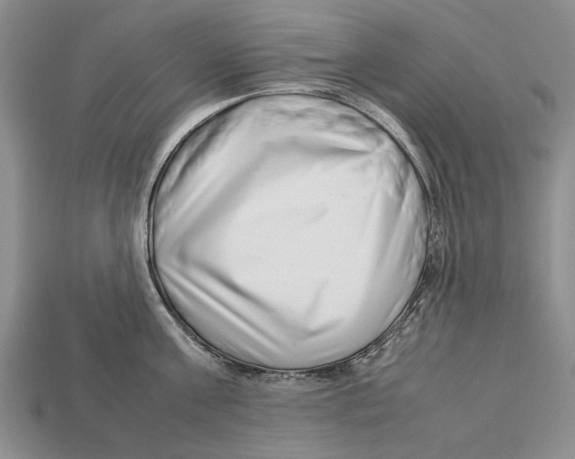 X0000113030811200909241412