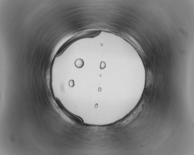 X0000113030812200909241412