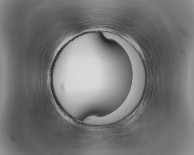 X0000113030813200909241412