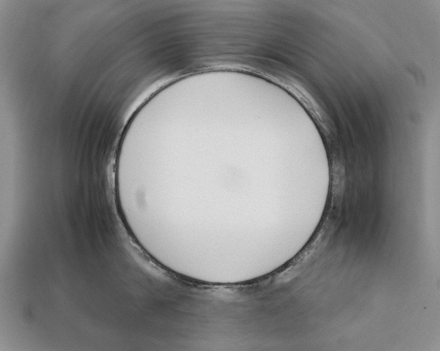 X0000113030814200909241412