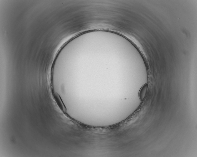 X0000113030815200909241412