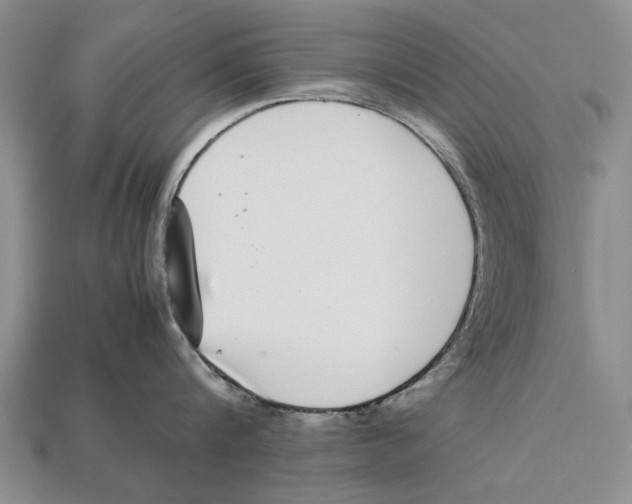 X0000113030816200909241412