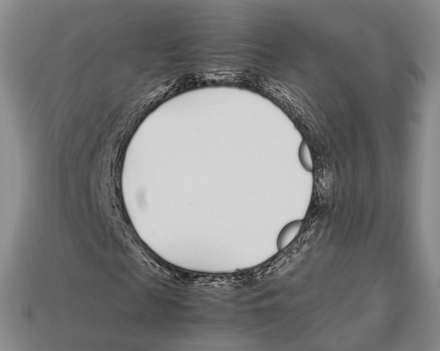 X0000113030817200909241412