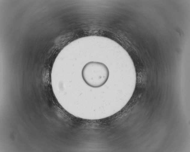 X0000113030820200909241412