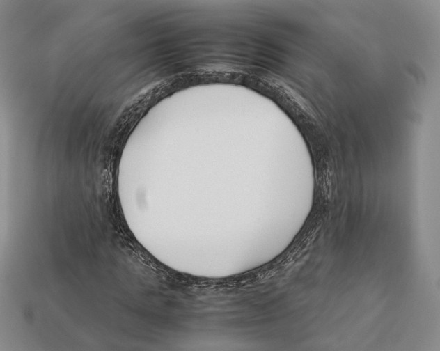 X0000113030821200909241412