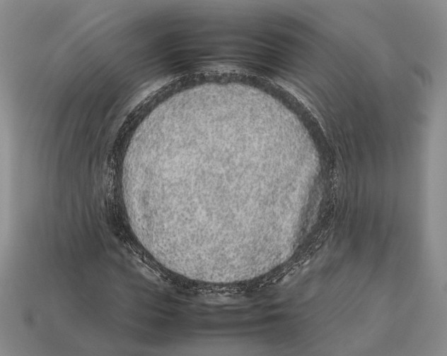 X0000113030823200909241412