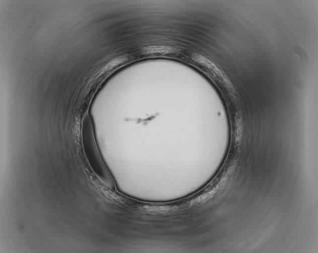 X0000113030825200909241412