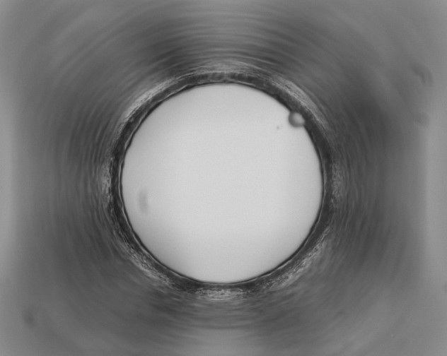 X0000113030826200909241412