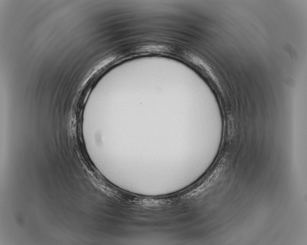 X0000113030827200909241412