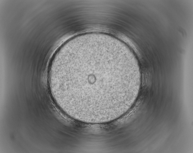 X0000113030828200909241412