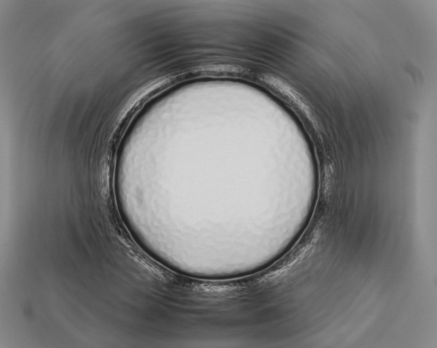 X0000113030829200909241412