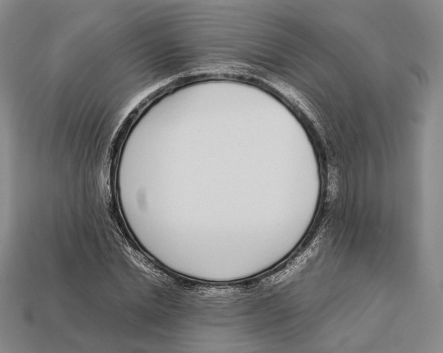 X0000113030830200909241412