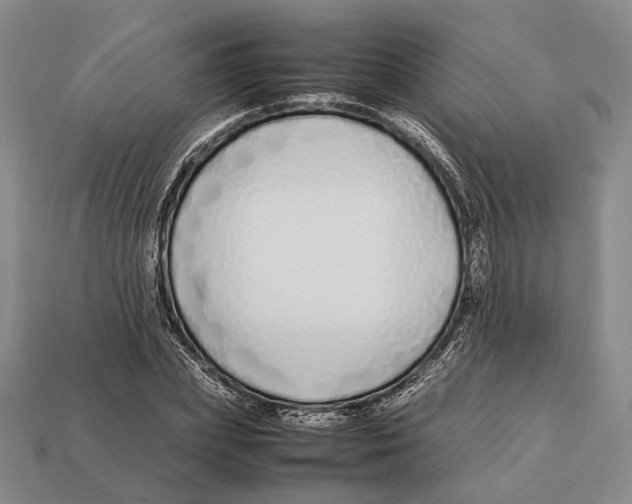 X0000113030831200909241412