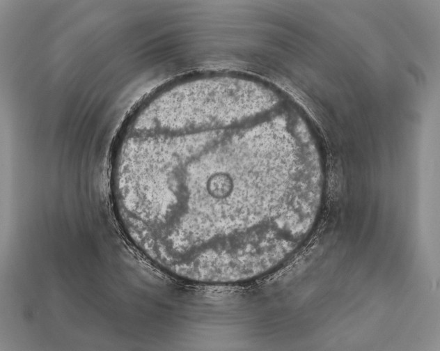 X0000113030832200909241412