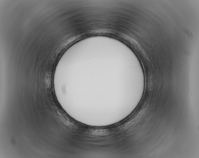 X0000113030833200909241412