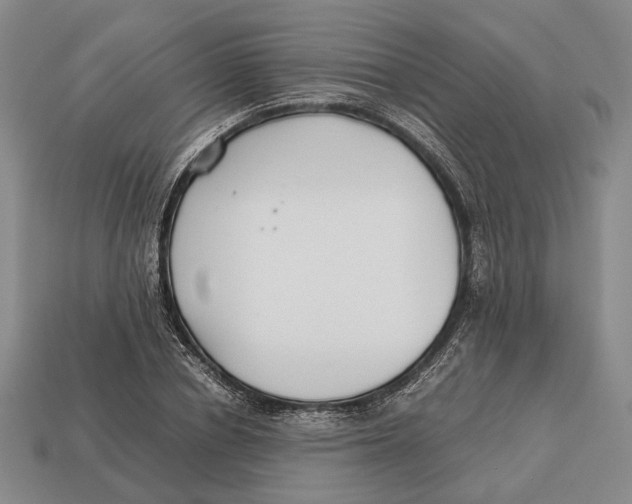 X0000113030834200909241412