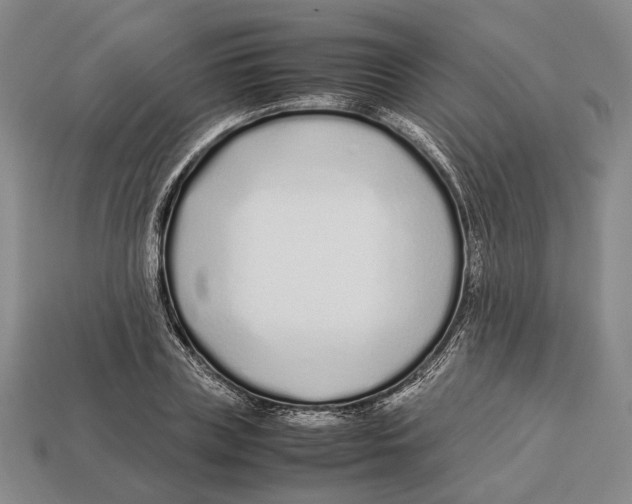 X0000113030835200909241412