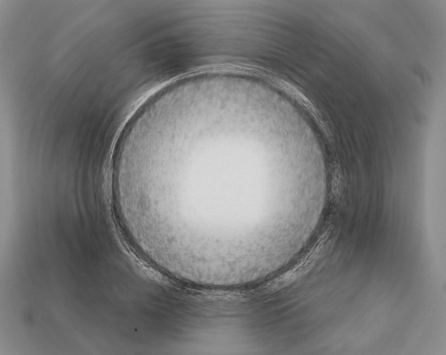 X0000113030836200909241412