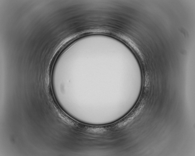 X0000113030837200909241412