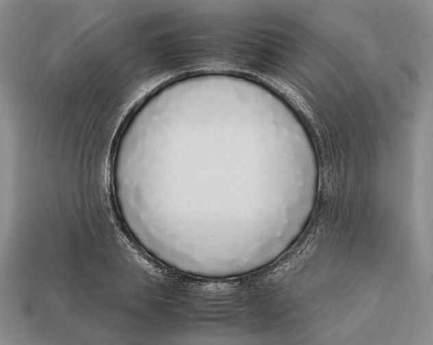 X0000113030839200909241412