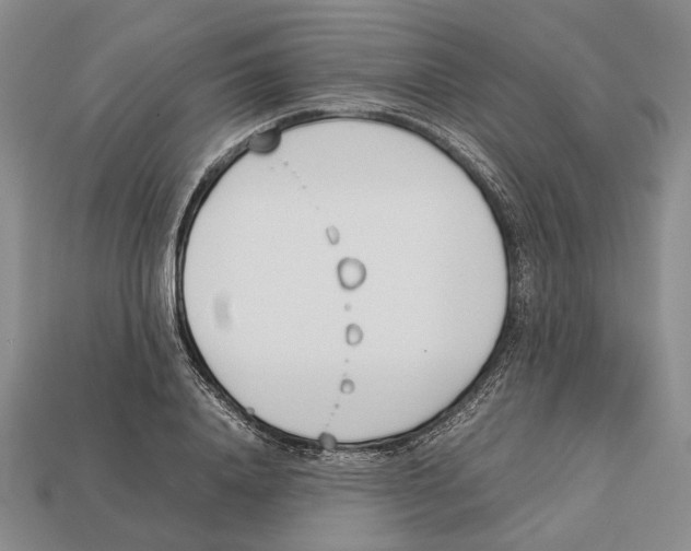 X0000113030840200909241412