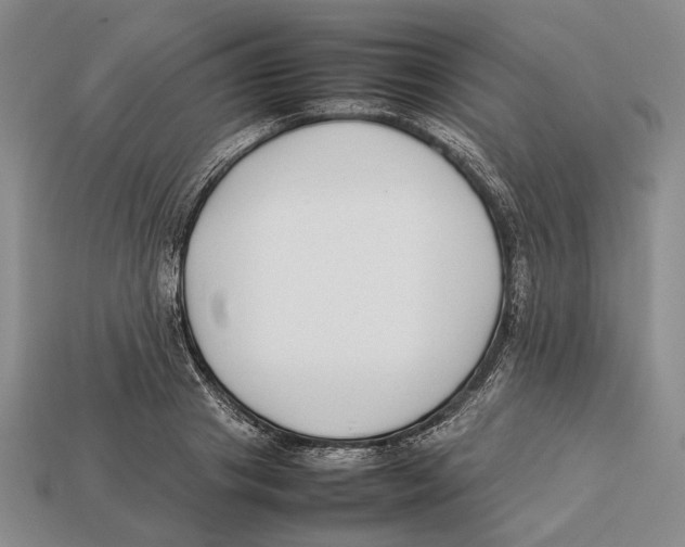 X0000113030841200909241412