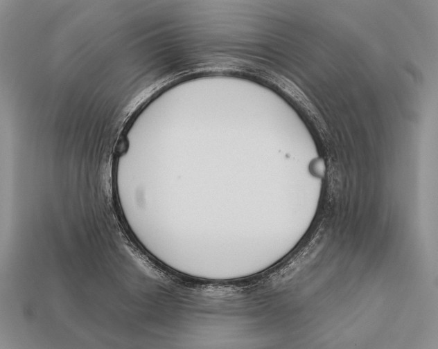 X0000113030842200909241412