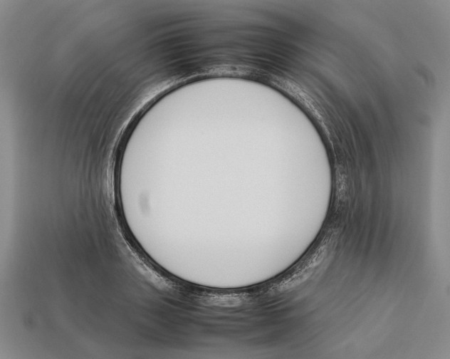 X0000113030843200909241412