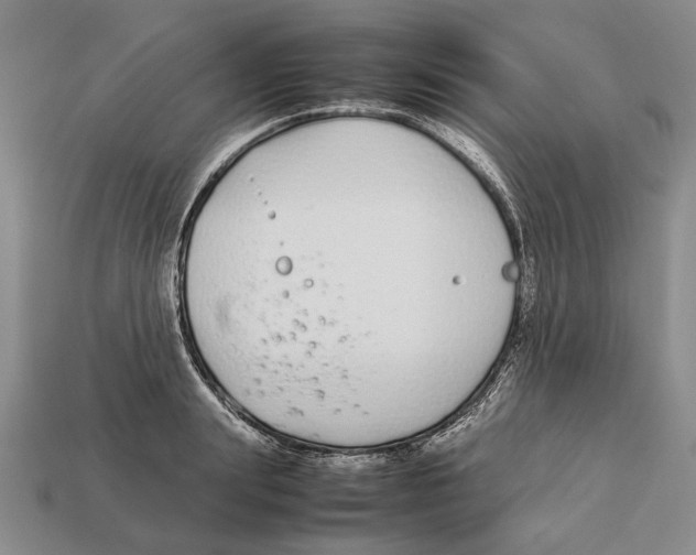 X0000113030847200909241412