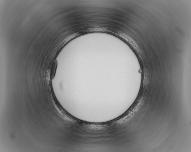 X0000113030849200909241412